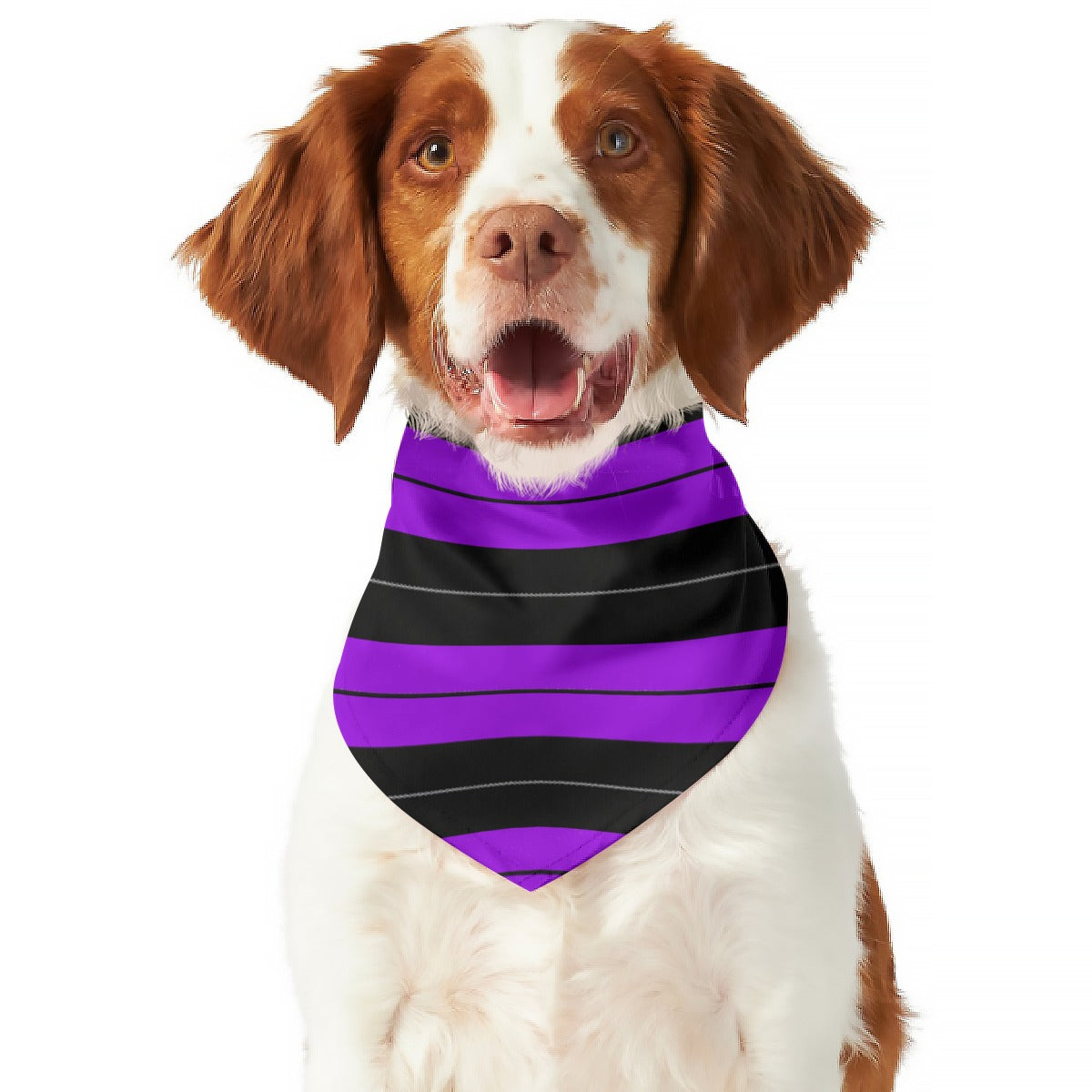 Purple Pet's Scarf