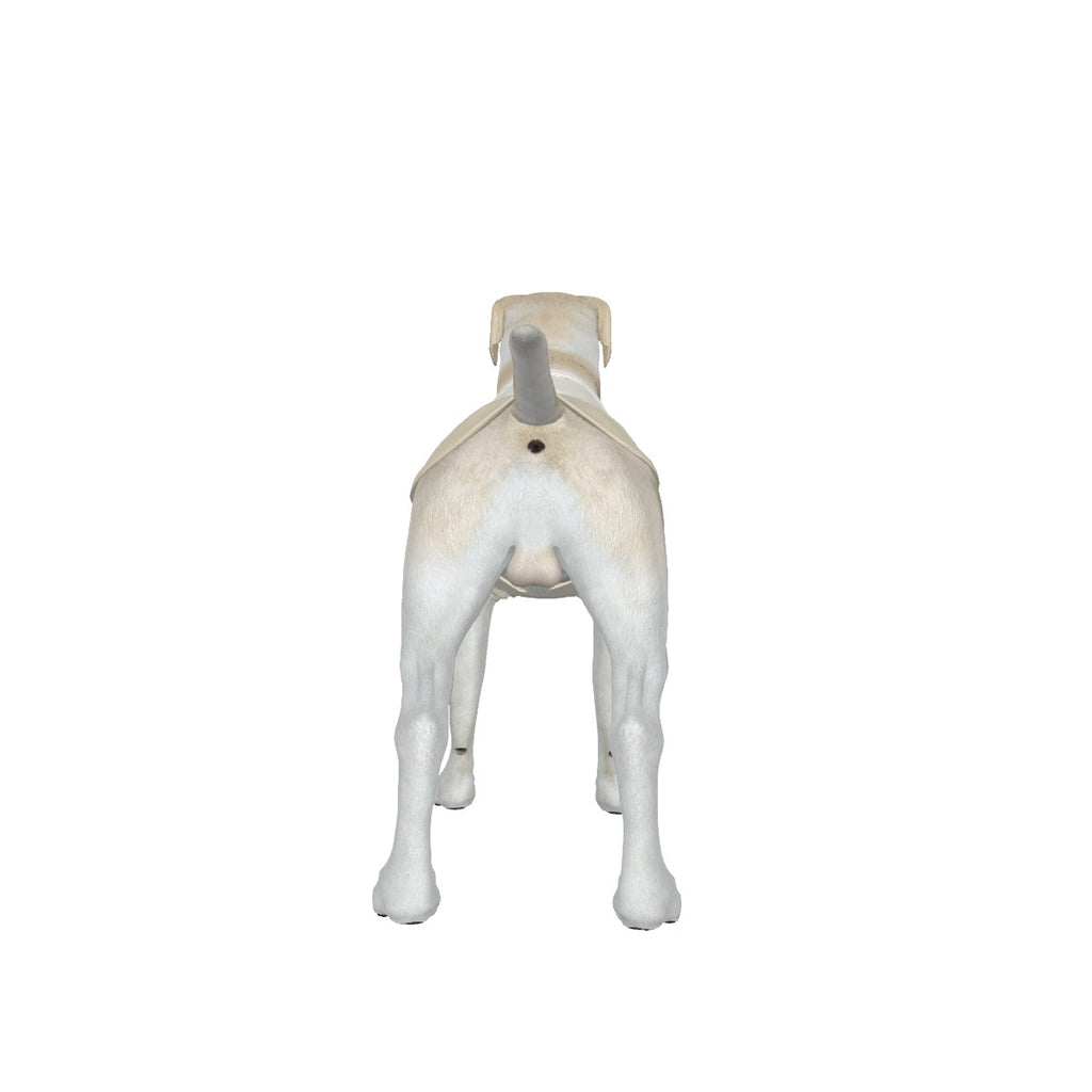 Fuck Ice Dog Big Tank Top