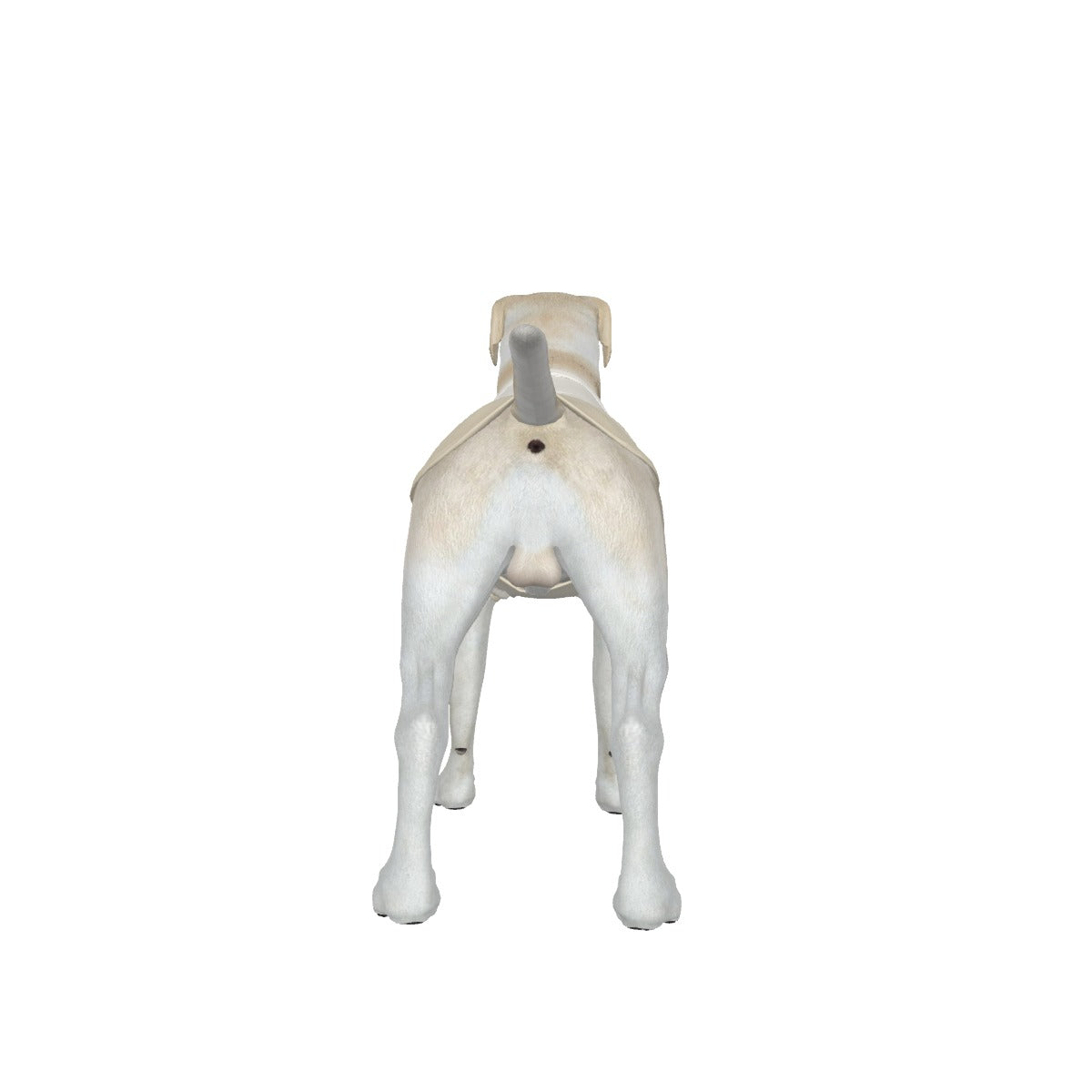 Fuck Ice Dog Big Tank Top