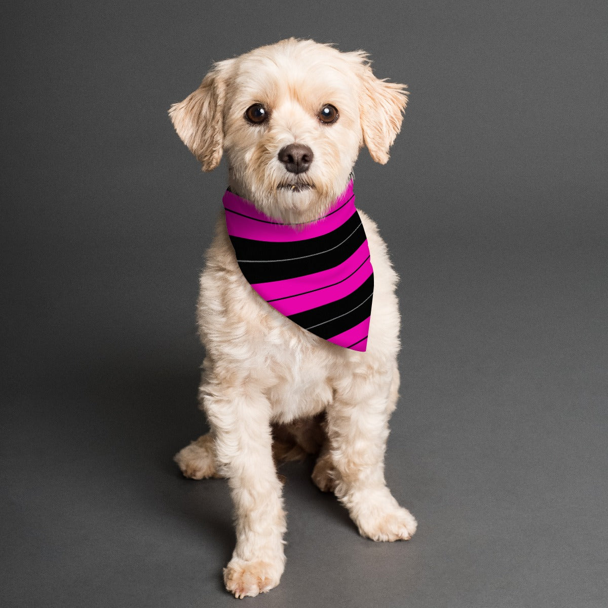 Pink Pet's Scarf