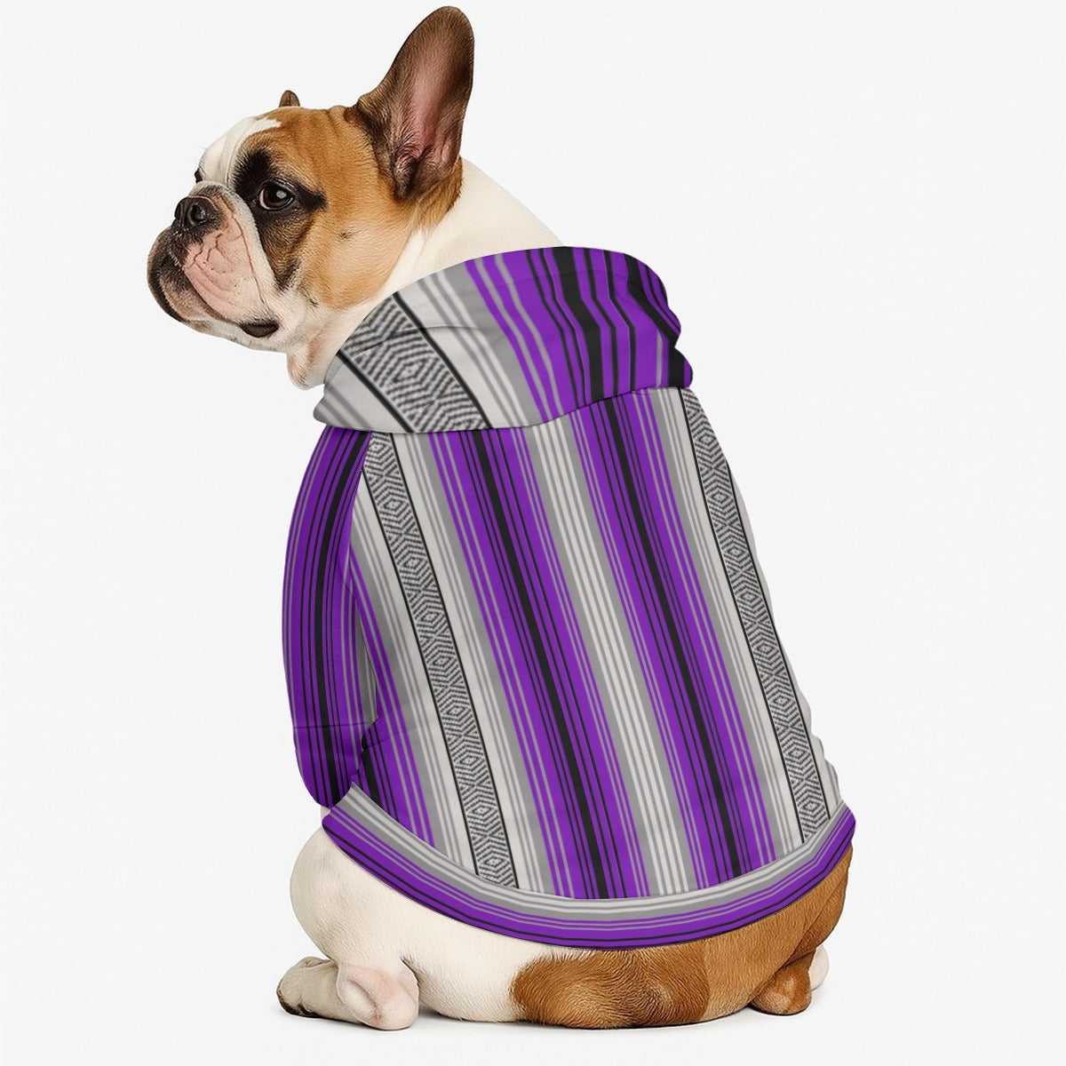 Street Style Pet Hoodie